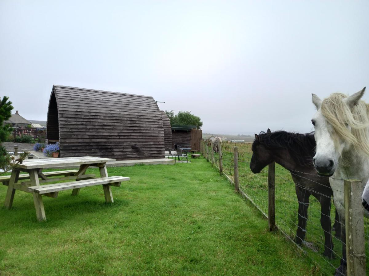 Hillside Camping Pods And Shepherd'S Hut Wick  Bagian luar foto